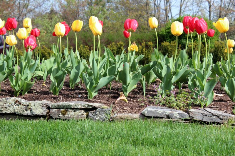Stone Edging Installation in Greenwich, CT
